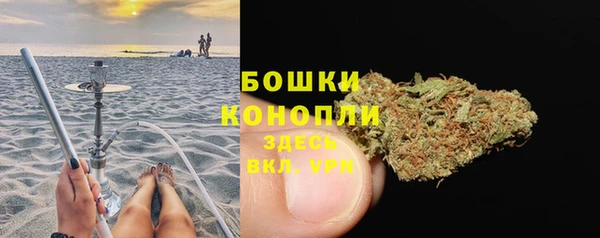 твердый Лиски