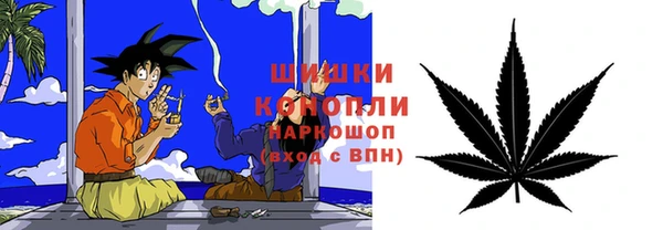 твердый Лиски