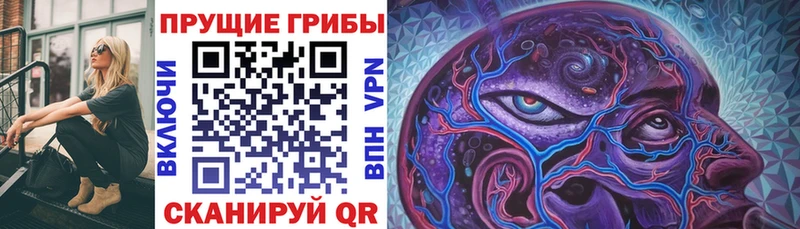 Купить  Кизел  Галлюциногенные грибы ЛСД 